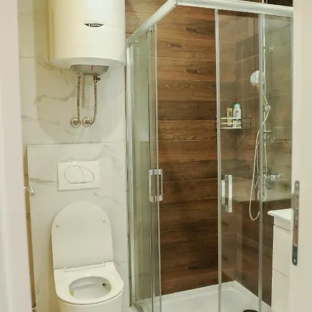 President V * 바냐루카