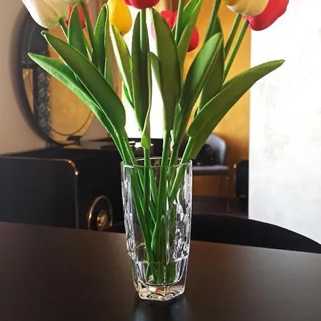 President V 아파트 *